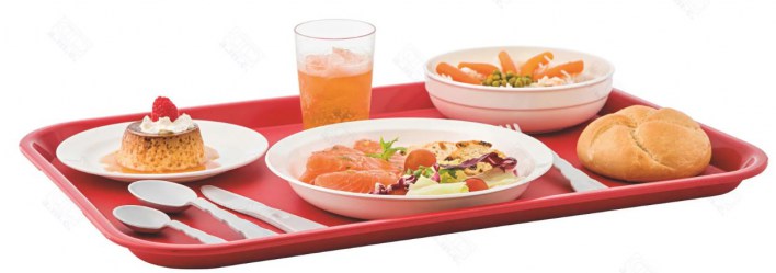 Bandeja Autoservicio GASTRONORM 1/1 Polipropileno 